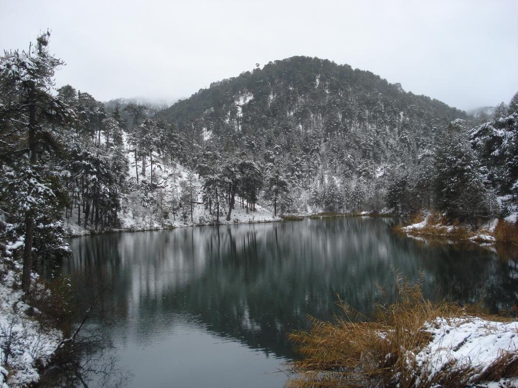 Hotel Rural Montana De Cazorla Arroyo Frio Esterno foto