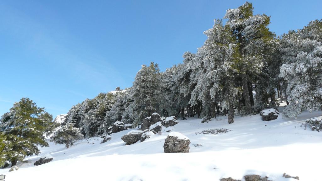 Hotel Rural Montana De Cazorla Arroyo Frio Esterno foto
